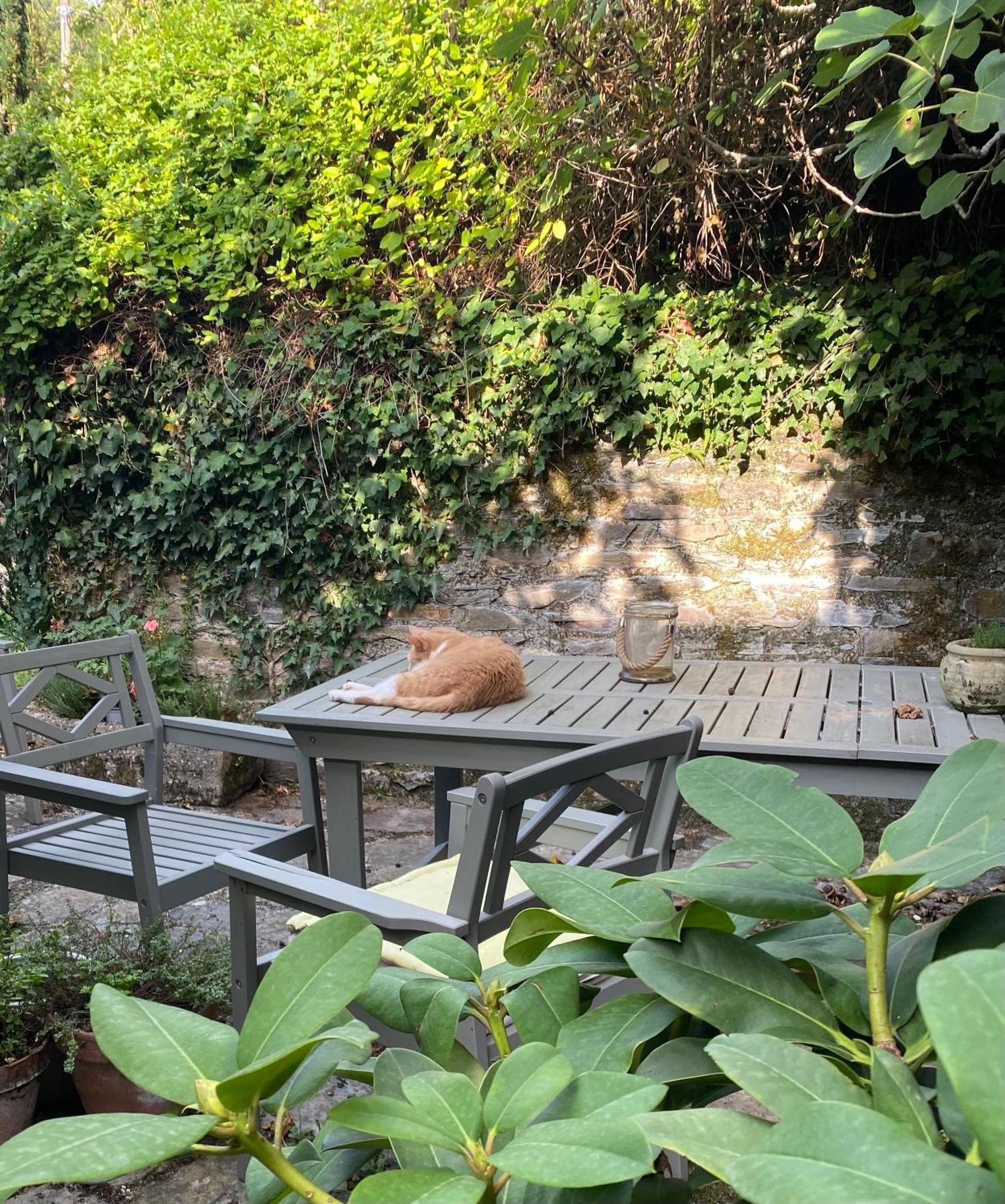 Cayssials Villa La Bastide-Solages Dış mekan fotoğraf