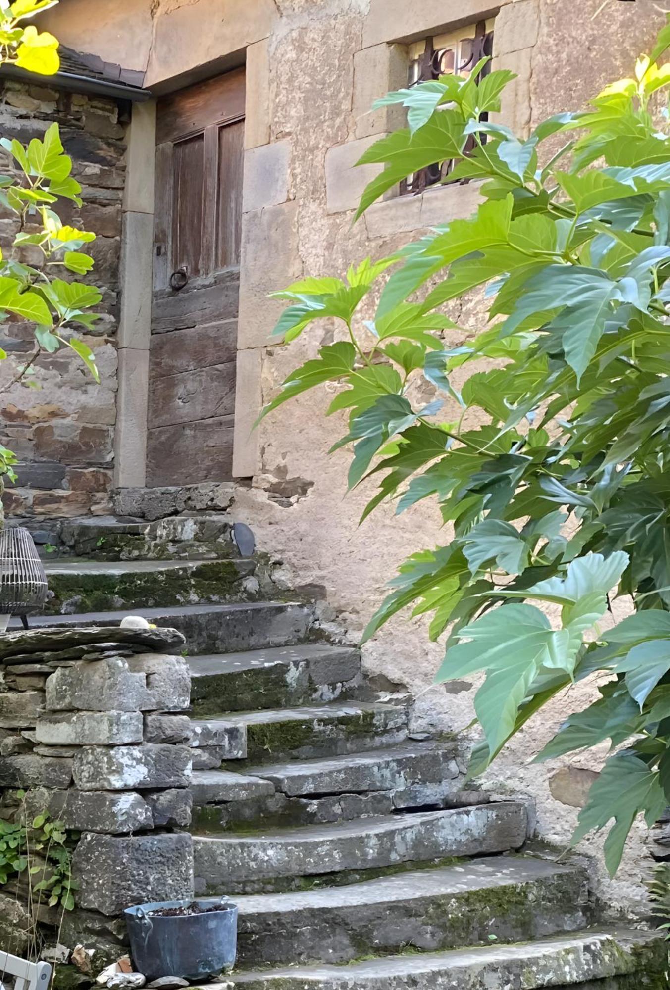 Cayssials Villa La Bastide-Solages Dış mekan fotoğraf