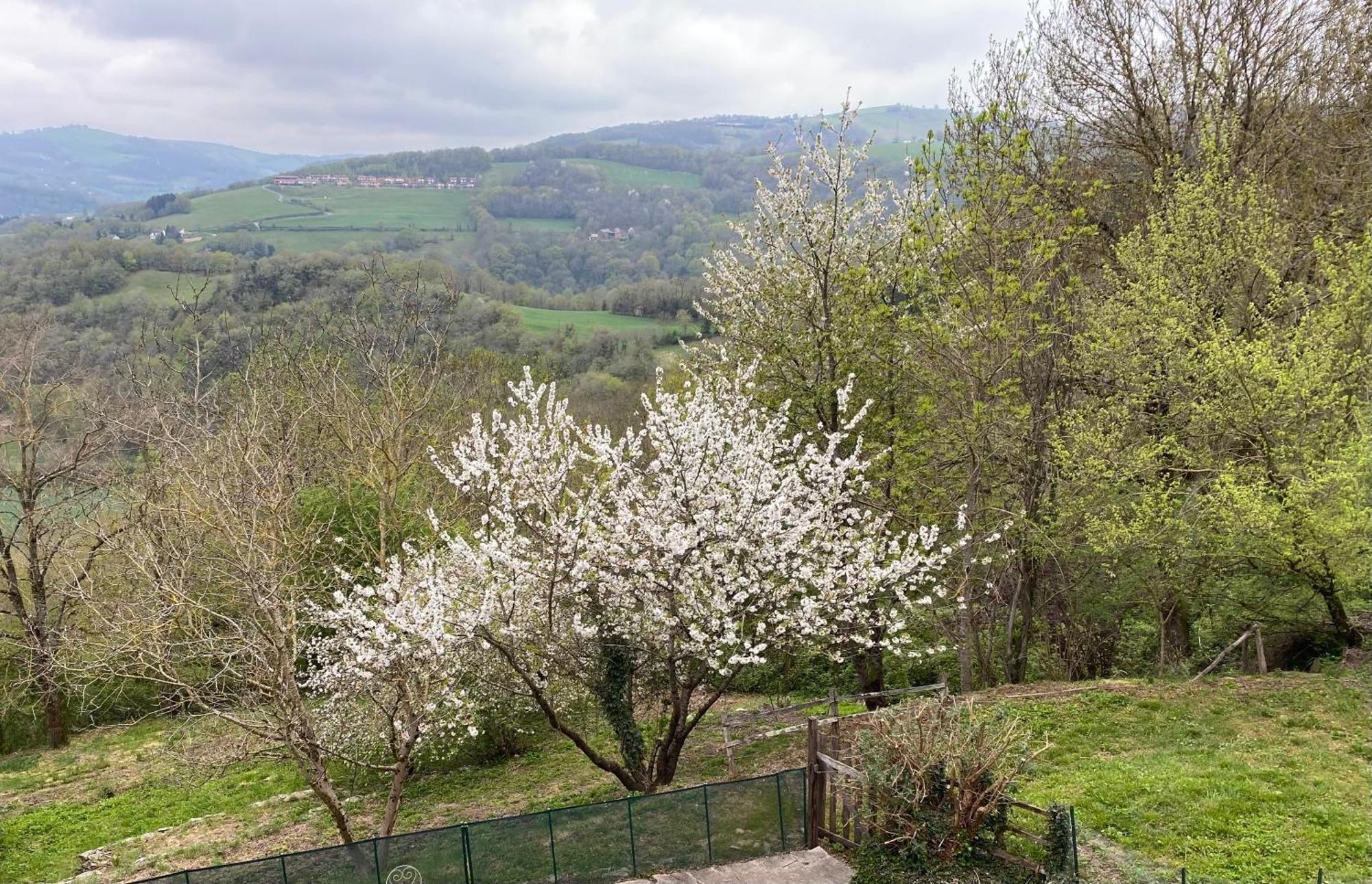 Cayssials Villa La Bastide-Solages Dış mekan fotoğraf